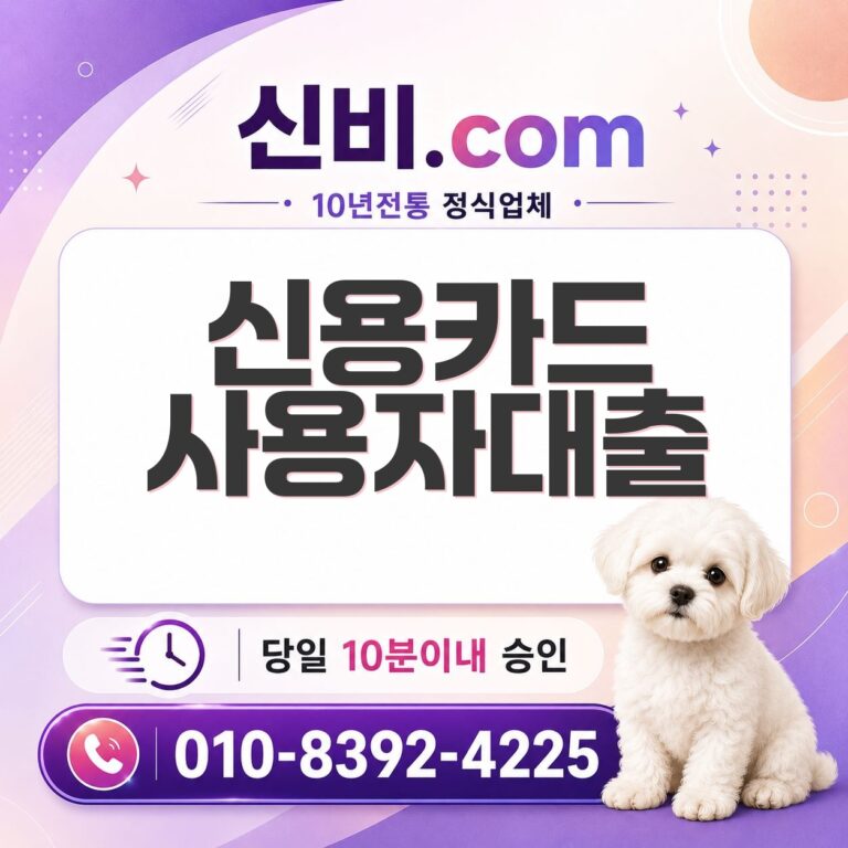 신용카드 사용자 대출