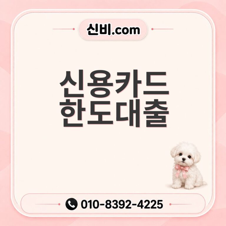 신용카드 한도 대출