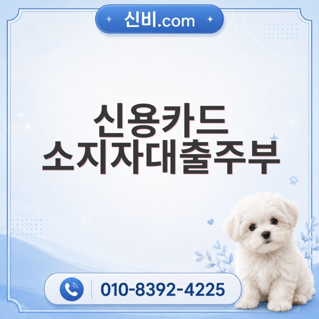 신용카드소지자대출 주부